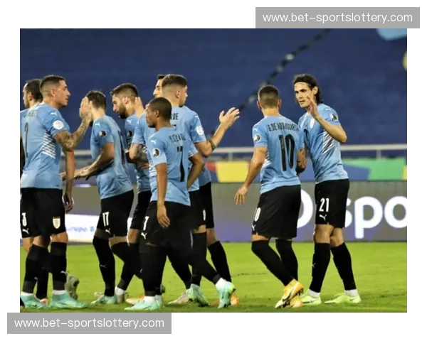 数据美洲杯——数据驱动的竞技盛宴，点燃美洲创新热潮